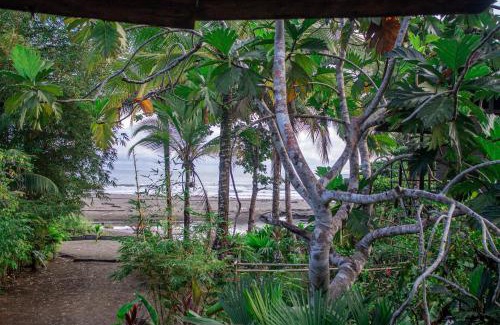 Pacifica House | The Pelican House Hostel