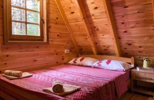 Zabljak House | The Pine Forest Cottage