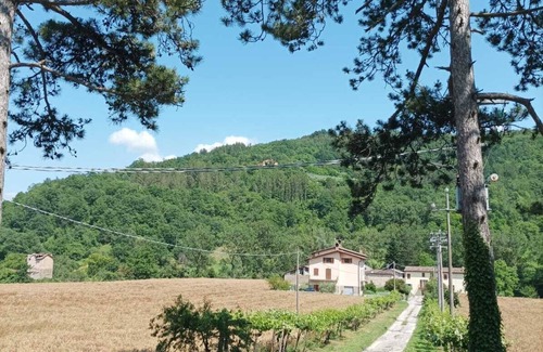 Citta di Castello Apartment | The Pratelli House