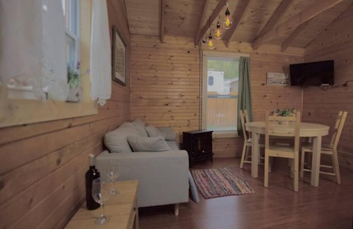 Lake City House | The Primrose Cabin with Mountain Views