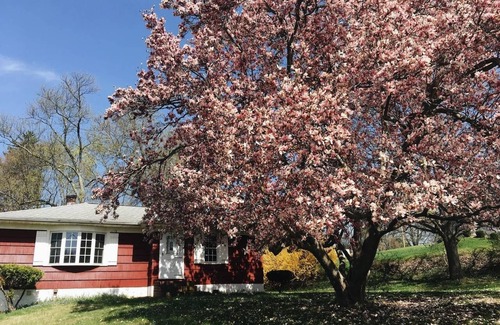 Spackenkill House | The Queen City Cottage