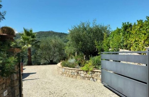 Dolceacqua Villa | The real Dolce Vita, villa with infinity pool surrounded by olive trees