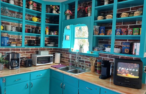Manistee House | The Retro Retreat! A 90s inspired guest house w something 4 evry1! Pet-Friendly!