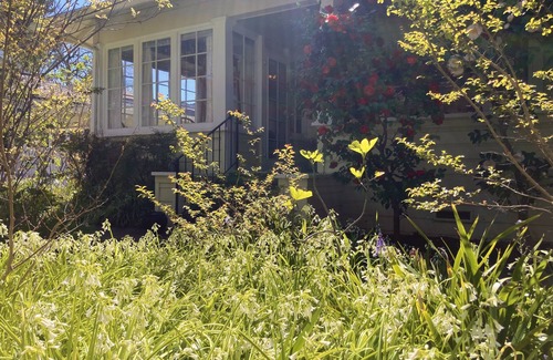Healdsburg Apartment | The Roost - Sun Room