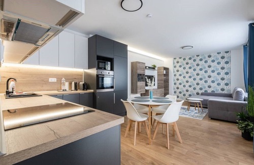 Erzsebetvaros Apartment | The Rose Garden Apartments