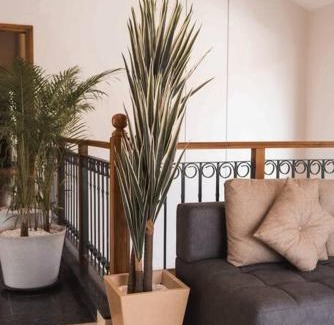 Assagao Villa | The Rustic by Jasmine Journeys
