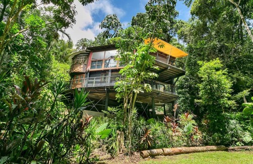 Earlville Other | The Secret Treehouse