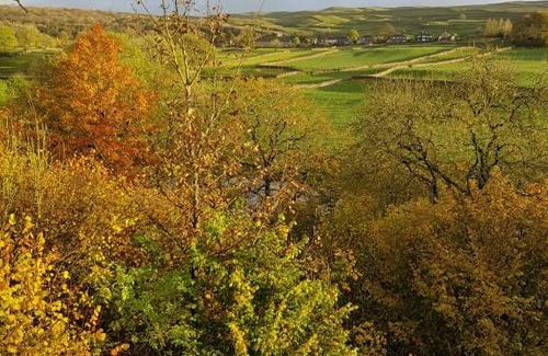 Threshfield Cabin | The Sett on The Wharfe