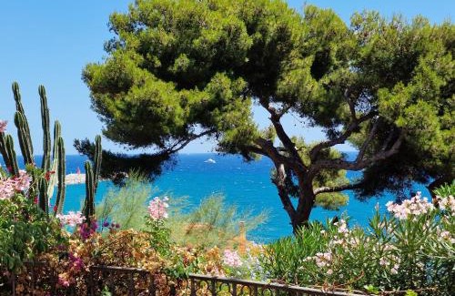 Imperia Apartment | THE SHELL - New interior look but same old charme 200 mt from the sea with garden and parking nearby