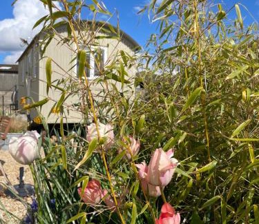 Brackley House | The Shepherd's Hut