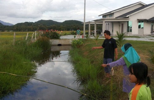 Lubok Buaya Villa | The single Villa paddy field scenery and wide view