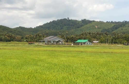 Lubok Buaya Villa | The single Villa paddy field scenery and wide view