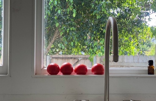 Ettalong Beach House | The Special House - Moments to the water