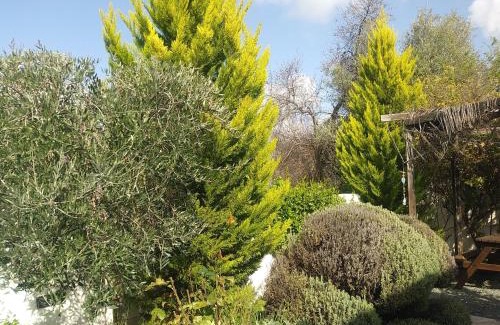 Laneia House | The Spidaki