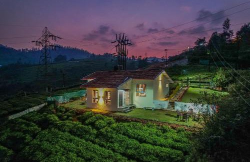 Wellington Villa | The Springs by Indo Stays