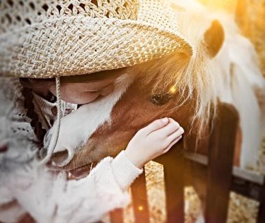 Dogdyke House | The Stable Annexe with hot tub & horses