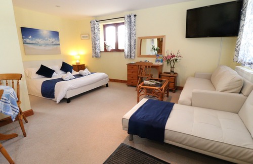 Callington Cabin | The Studio, Cornwall, Netflix, EV charger, Patio, BBQ,