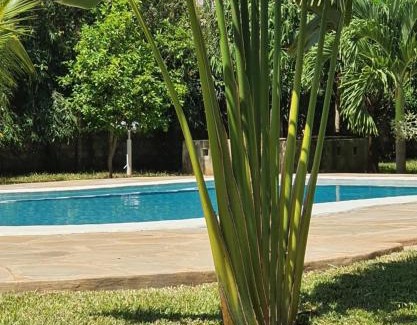 Ukunda House | The Swimming Ostrich