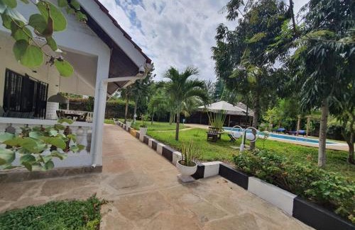 Ukunda House | The Swimming Ostrich
