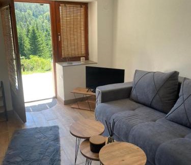 Kremna Ski Chalet | The Tara Concept