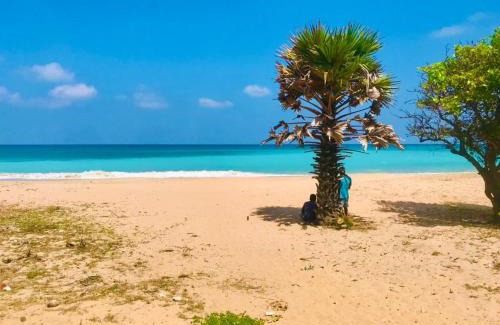 Uppuveli House | The Tottam Beach Hotel - Trincomalee
