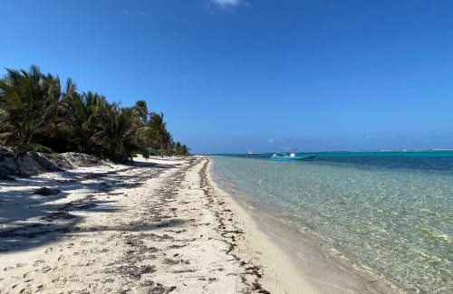 Colliers Bay House | The Tropical Breeze Cottage