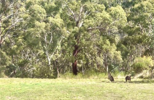 Daylesford House | The Views Cottage