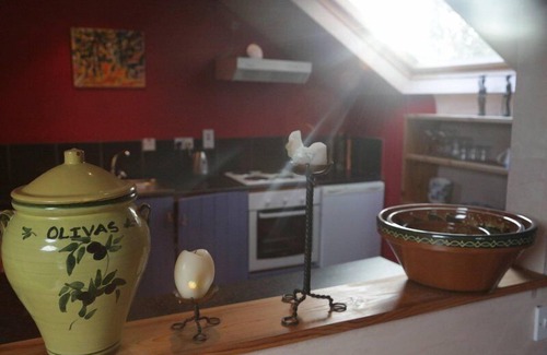 Moate House | The Village Studio Apartments