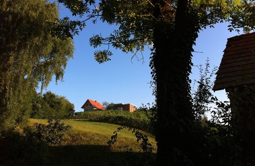 Johnsdorf-Brunn House | "the vineyard", the Kellerstöckl
