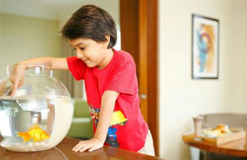 Mundhwa Hotel | The Westin Pune Koregaon Park
