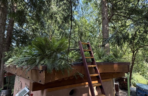 Shawnigan Lake Apartment | The Wobbly Hobbit- a unique earthen cabin in the woods.