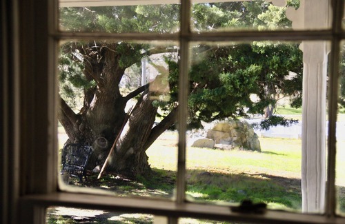 Tenterfield Cottage | The Workers Cottage, a lovingly restored historic home in Tenterfield