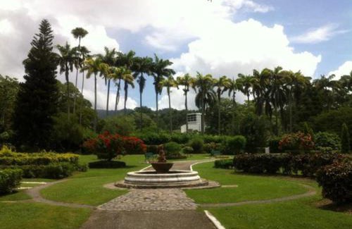 Port of Spain House | The Zen Den
