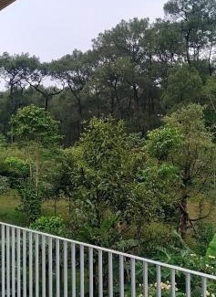 Huong Thuy House | Thien An Pine Hill Homestay Hue
