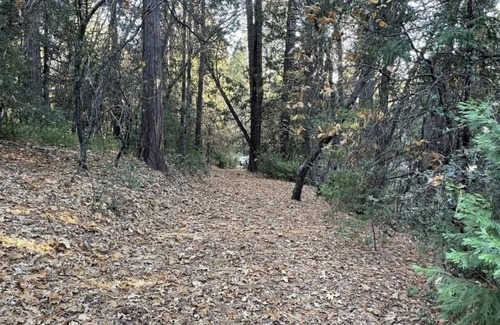 Sonora RV Rental | This campsite provides the ultimate outdoor experience!