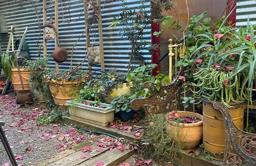 Corowa Apartment | This pet friendly retreat is excellent to relax over looking a "rain forest".