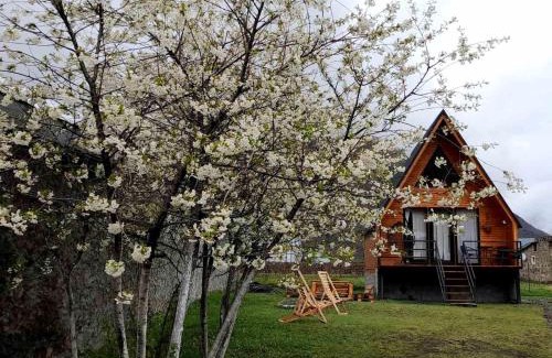 Gergeti Apartment | Thomas' Hut