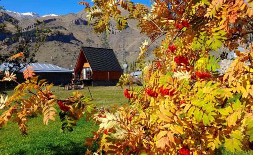 Gergeti Apartment | Thomas' Hut