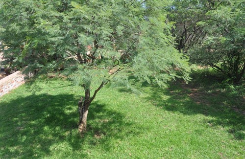 Potchefstroom Cabin | Thorntree Lodge
