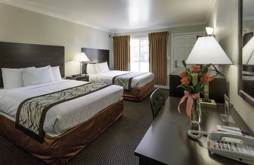 Downtown Hotel | Thunderbird Lodge