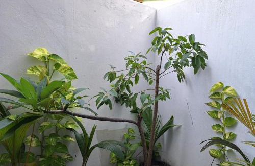 Maalhos Hotel | Thundi Village & Spa