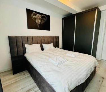 Sebes Apartment | Thyon Apartments
