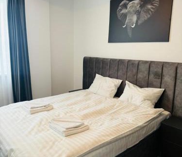 Sebes Apartment | Thyon Apartments