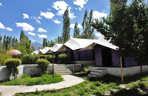 Nubra Valley Other | Tiger Camp Nubra