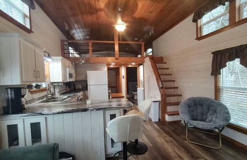 Damascus Cabin | Tiny cabin nesteled on 10 wooded acres at 4000 elevation