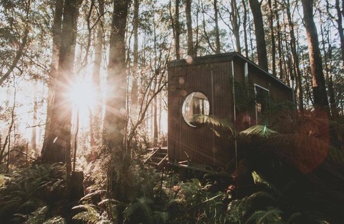 Benwerrin Cabin | Tiny- Eco House -Ukiyo - WITHIN THE OTWAY NATIONAL PARK, GREAT OCEAN ROAD LORNE