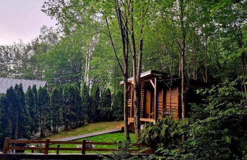 Valiug House | Tiny House 4 Two