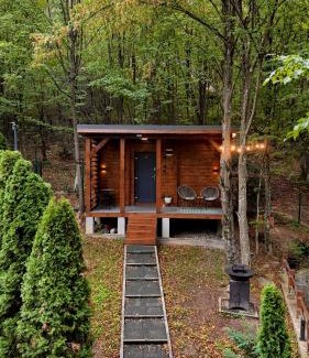 Valiug House | Tiny House 4 Two