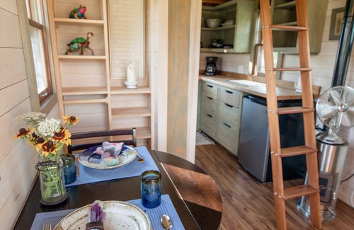 Hot Springs Cabin | Tiny House Experience at its Best!