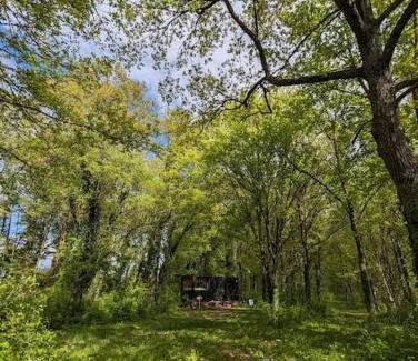 Sonchamp House | Tiny House La Clairière au milieu des bois !